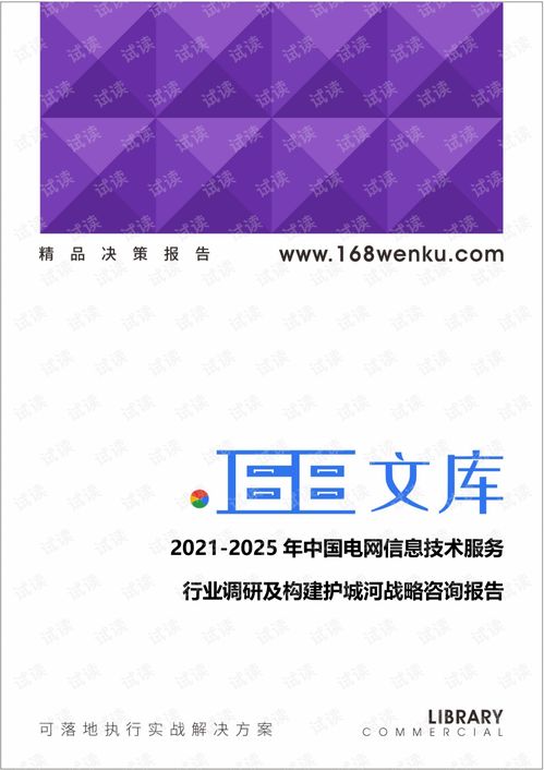 2021 2025年中国电网信息技术服务行业调研及构建护城河战略咨询报告.pdf
